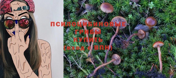кокс Алзамай